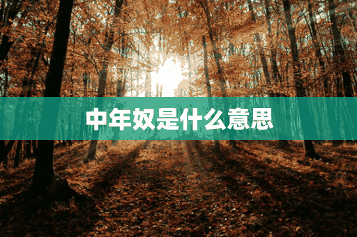 中年奴是什么意思